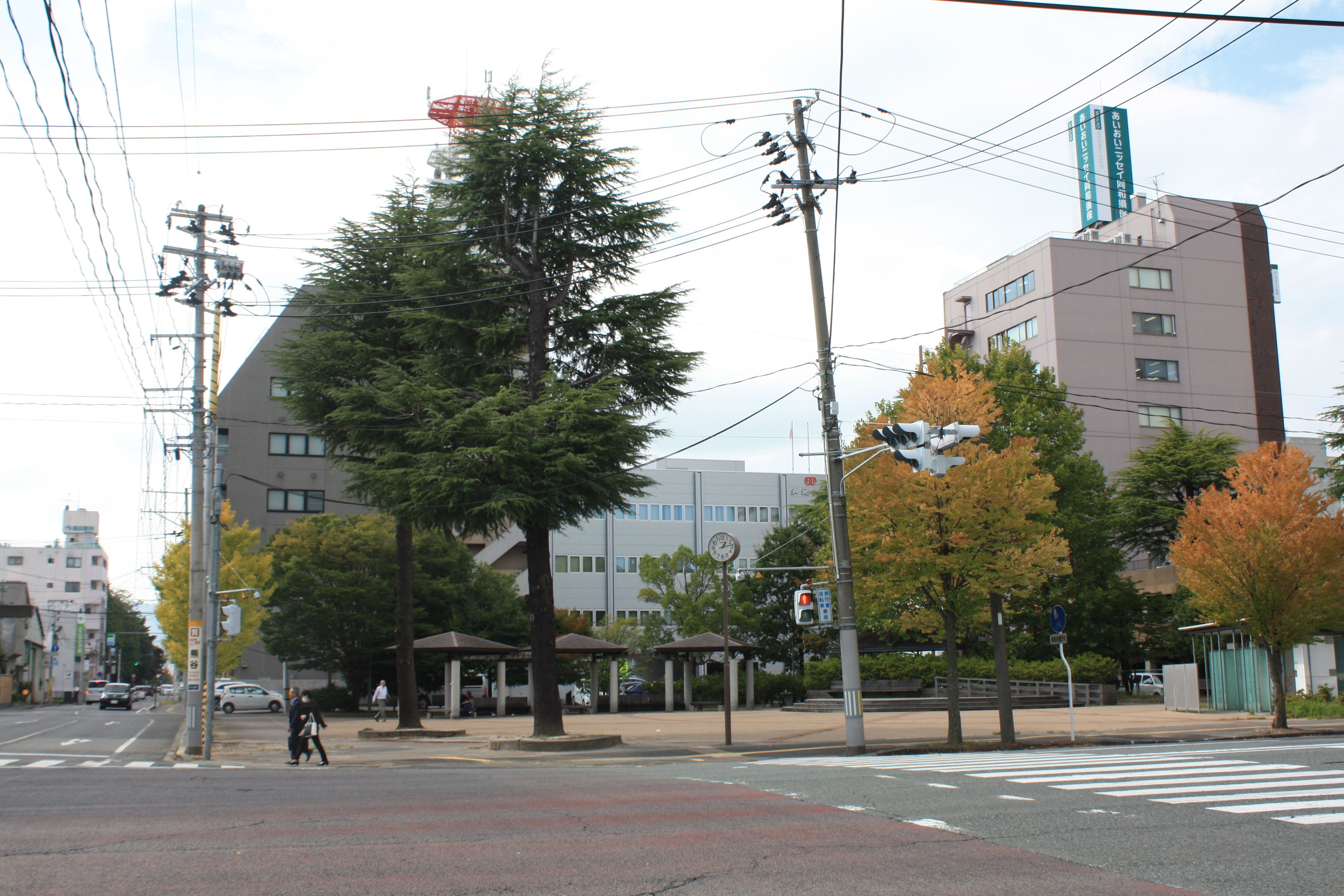  ■写真2-2  小太郎町公園を西方に向かって見る(令和4年10月　小宅幸一撮影)