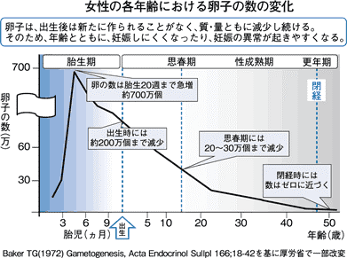 女性の卵子の数の変化