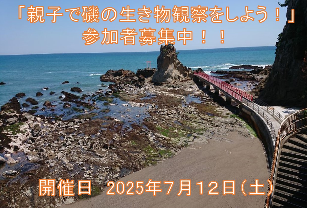 R7iso