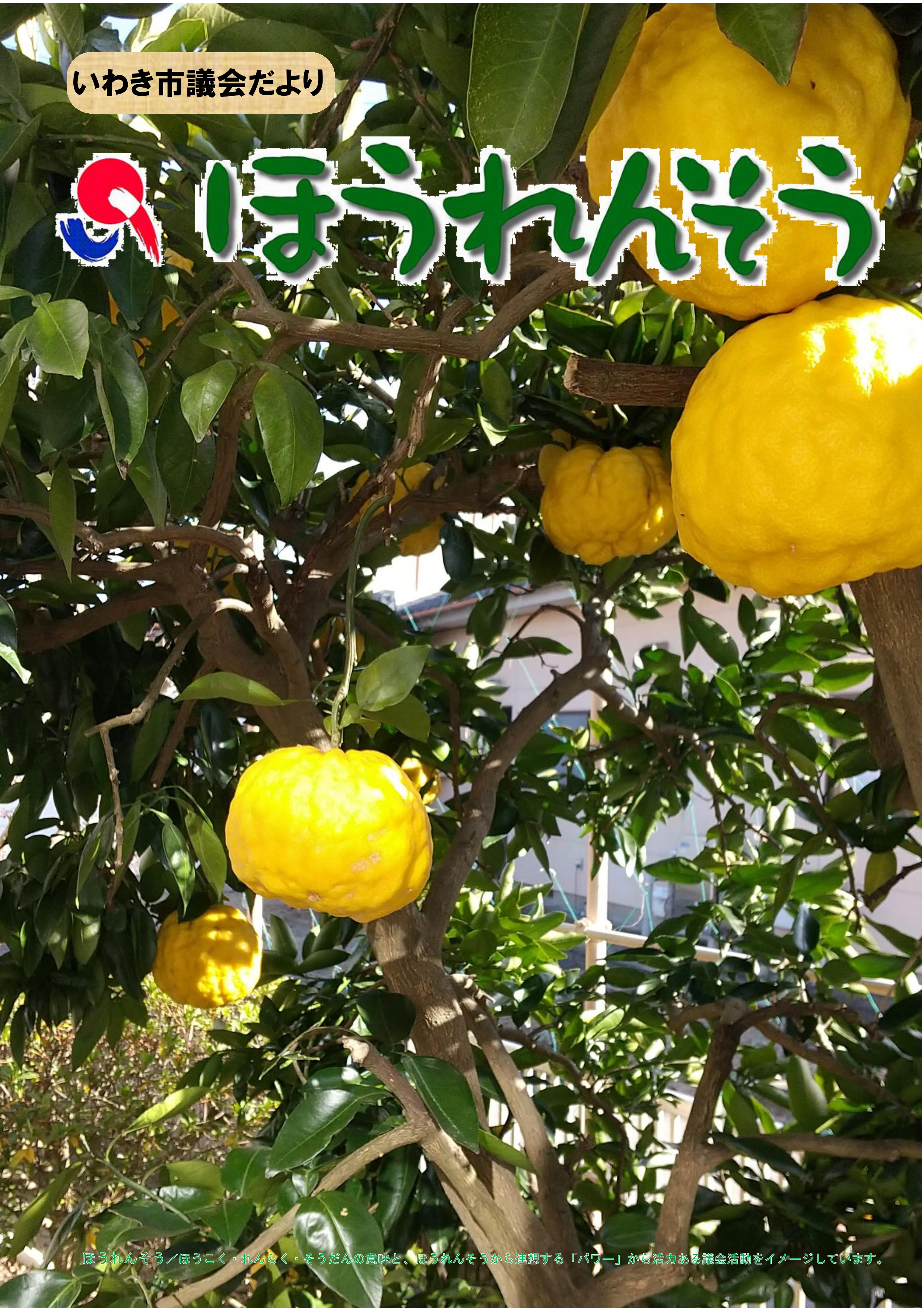 表紙候補