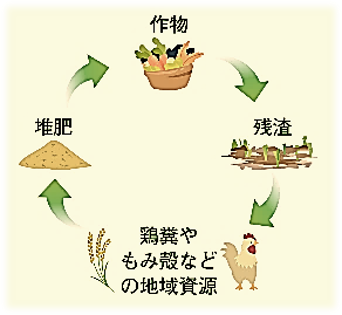 稲わらやもみ殻は有機資源として活用し、環境にやさしい農業を行いましょう。