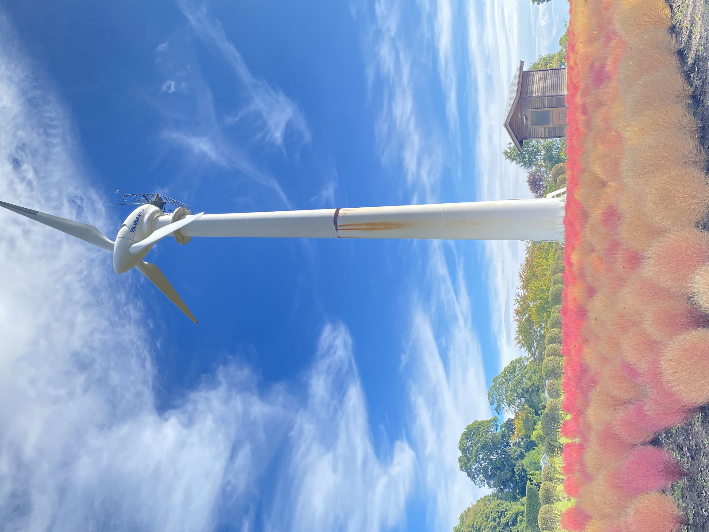 フラワーセンター