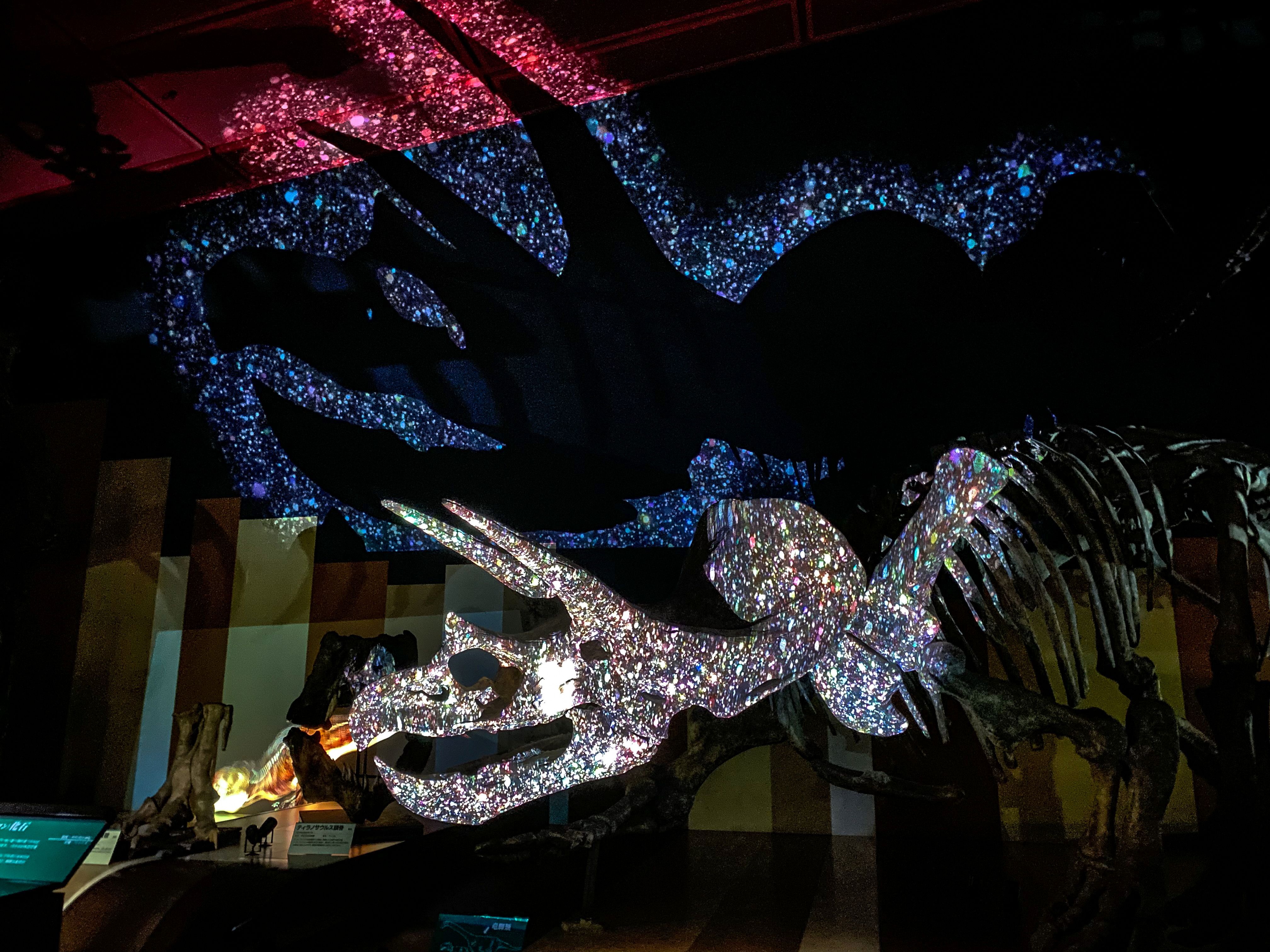 ほるるクエスト