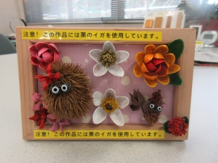 ピスタチオの殻や栗のイガなどを使ったフレームアートの写真