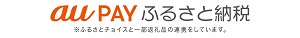 au PAYふるさと納税