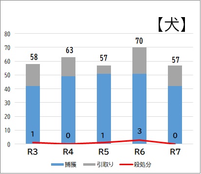 犬統計