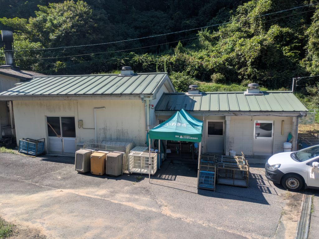 外観