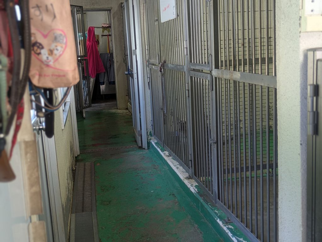 犬舎