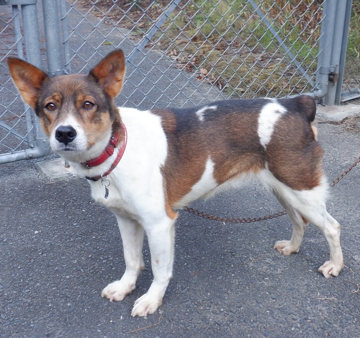 R6.10.30雑白黒茶♀とーこ