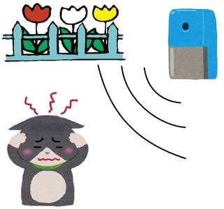 超音波で猫を傷つけずに追い払います 超音波で猫を傷つけずに追い払います