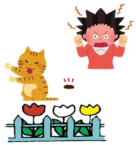 猫による被害 猫による被害
