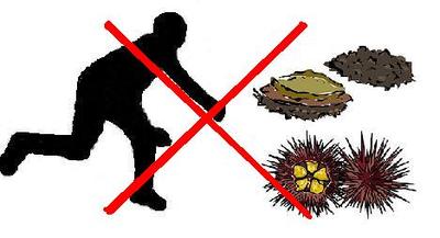 密漁は犯罪です 密漁は犯罪です